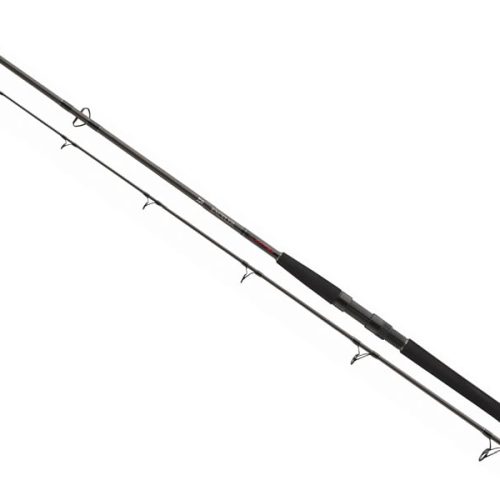 Wędka DAIWA Exceler CatFish Spin 270/185g