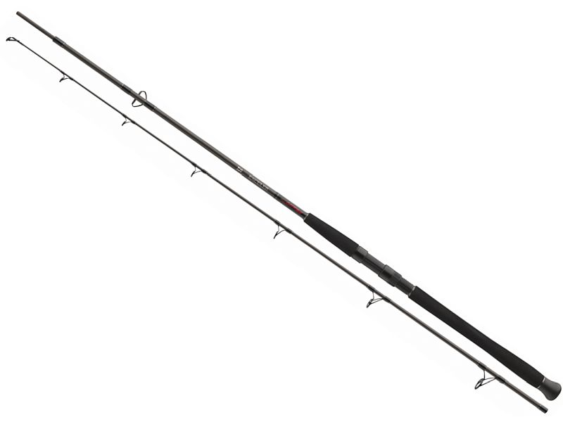 49096_0 Wędka DAIWA Exceler CatFish Spin 270/185g