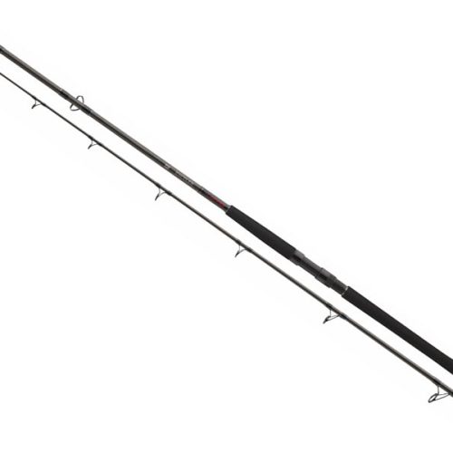 Wędka DAIWA Exceler CatFish Boje 300/200-600g