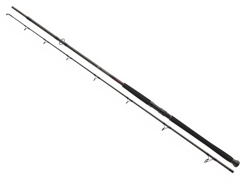 49097_0 Wędka DAIWA Exceler CatFish Boje 300/200-600g